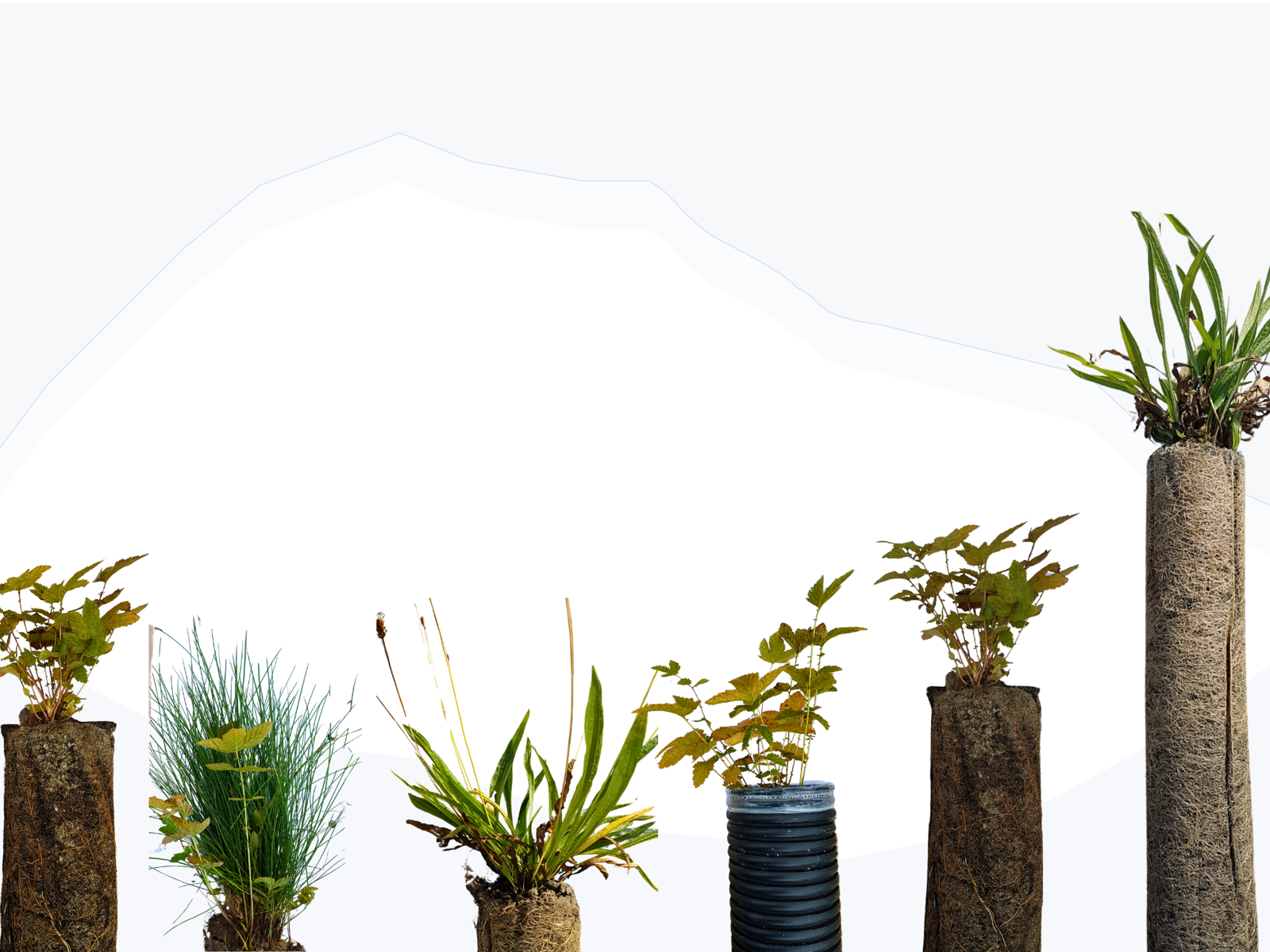 Illustrasjon med foto av ulike jordsøyler med vegetasjon