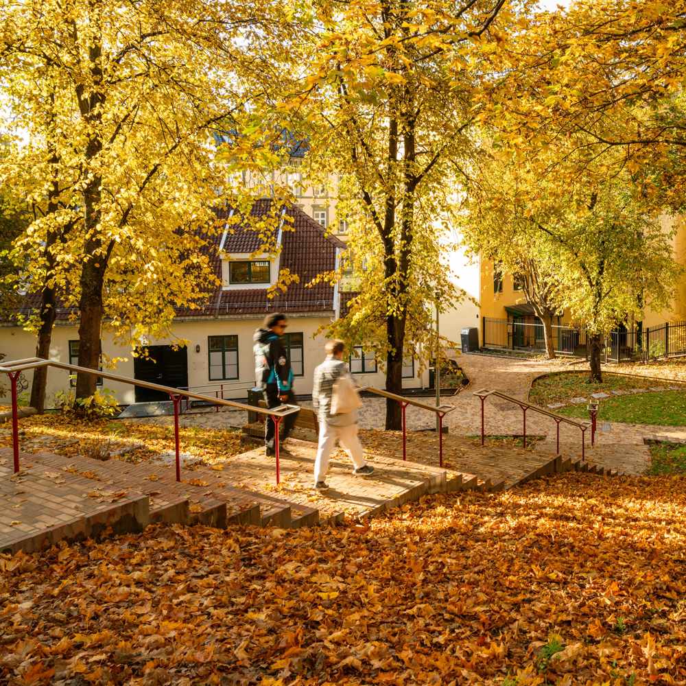 Mann som går ned en trapp i en park i høstfarger.