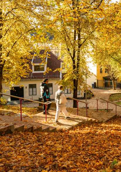 Mann som går ned en trapp i en park i høstfarger.