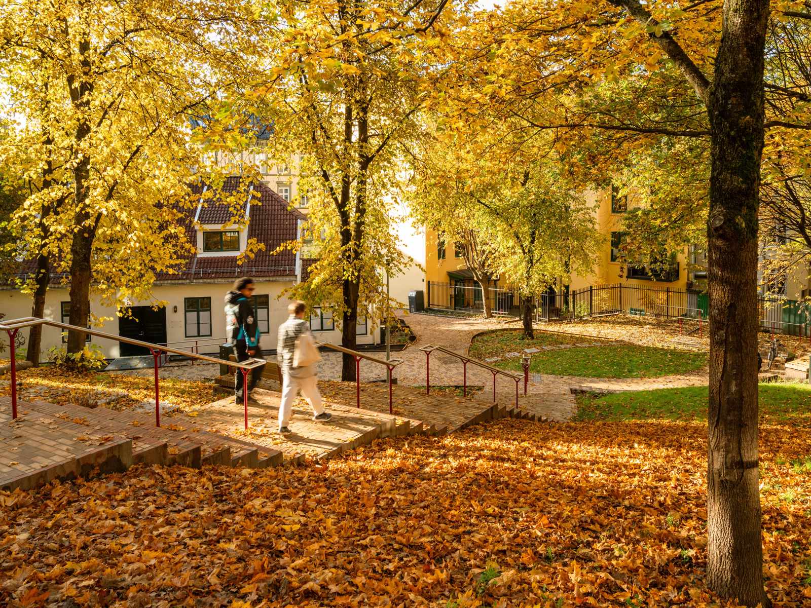 Mann som går ned en trapp i en park i høstfarger.