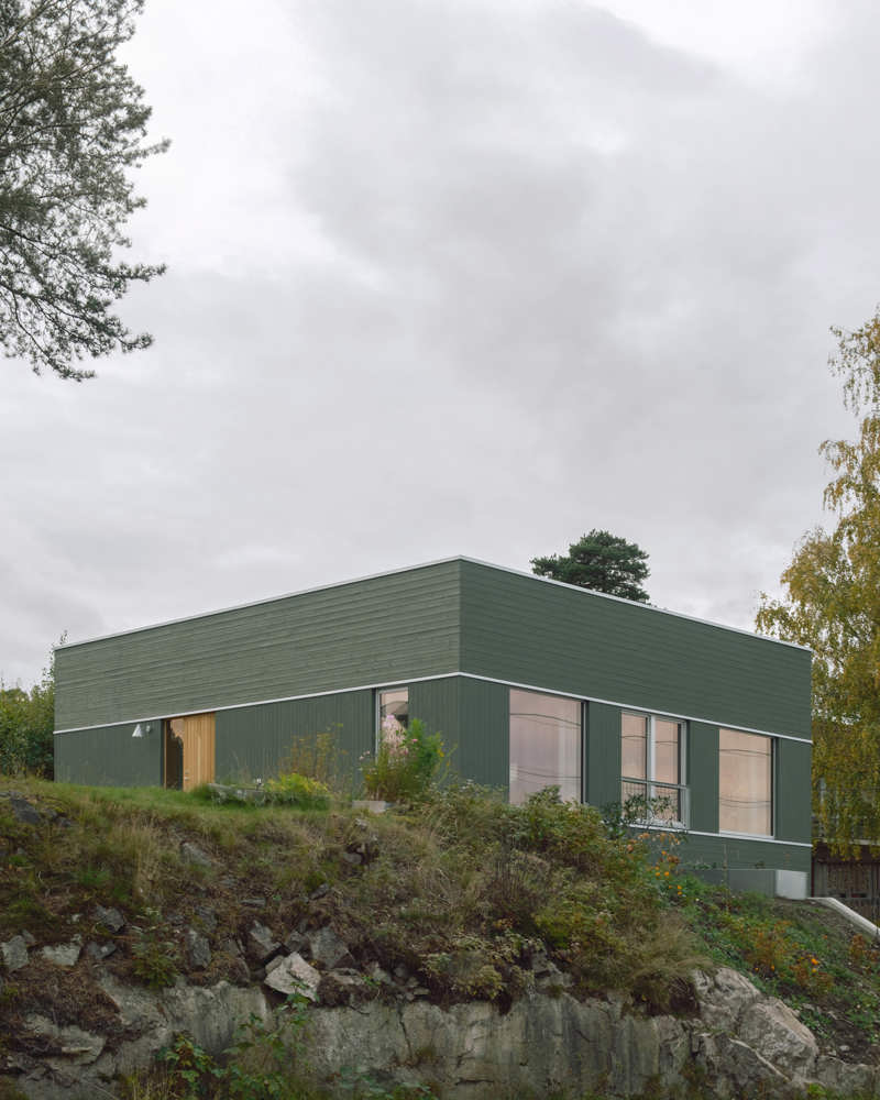 Enebolig skutt inn i grønt terreng med grønn fasade. Foto
