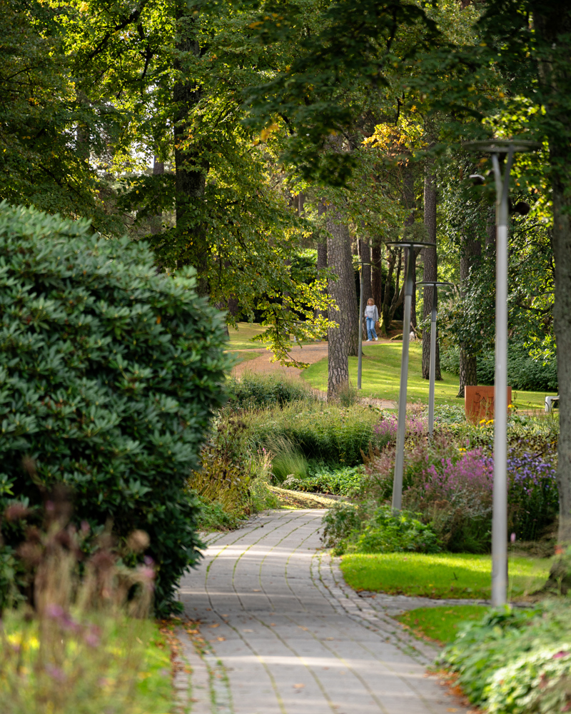 Foto av en gangsti som slynger seg mellom plantefelt, med lyktestolper. 