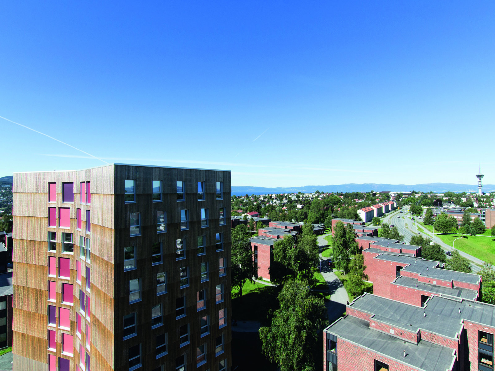 Oversiktsbilde som viser nye høye boligblokker i treverk i nærheten til eldre teglblokker. Grønt imellom. Foto.