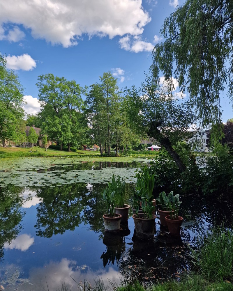 Foto av Andedammen NMBU