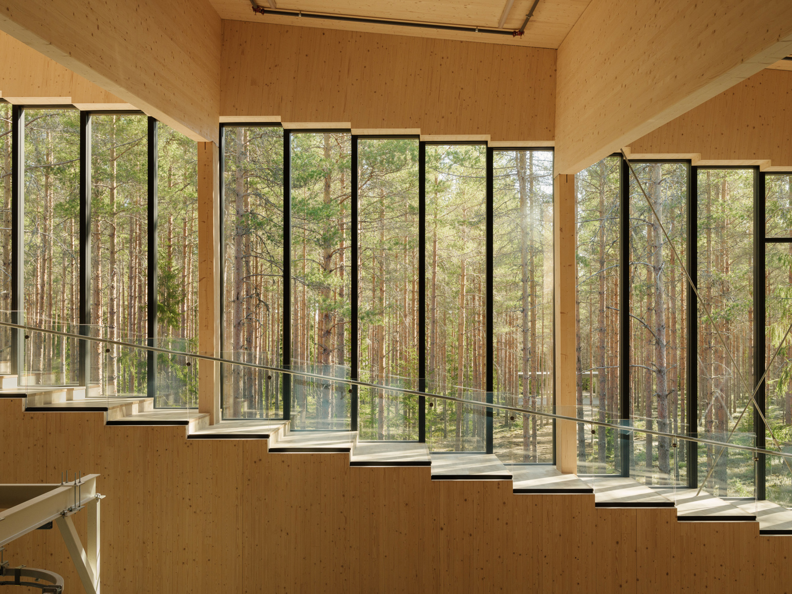Interiør i treverk, smale vertikale vinduer dekker veggen og man kan se skogen utenfor. Foto.