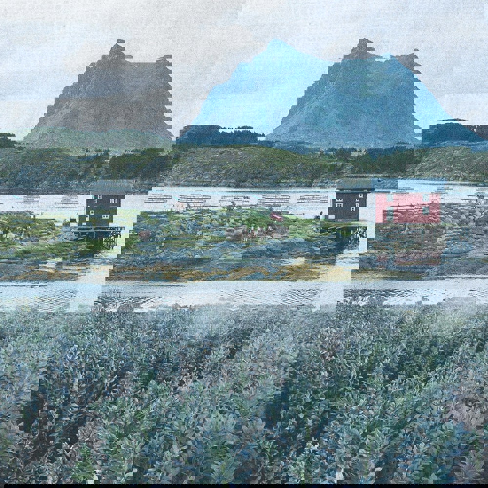 Collage av kystlandskap, fjell, liten rød hytte osv.