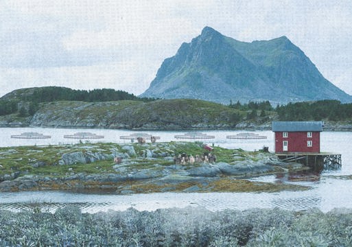 Collage av kystlandskap, fjell, liten rød hytte osv.