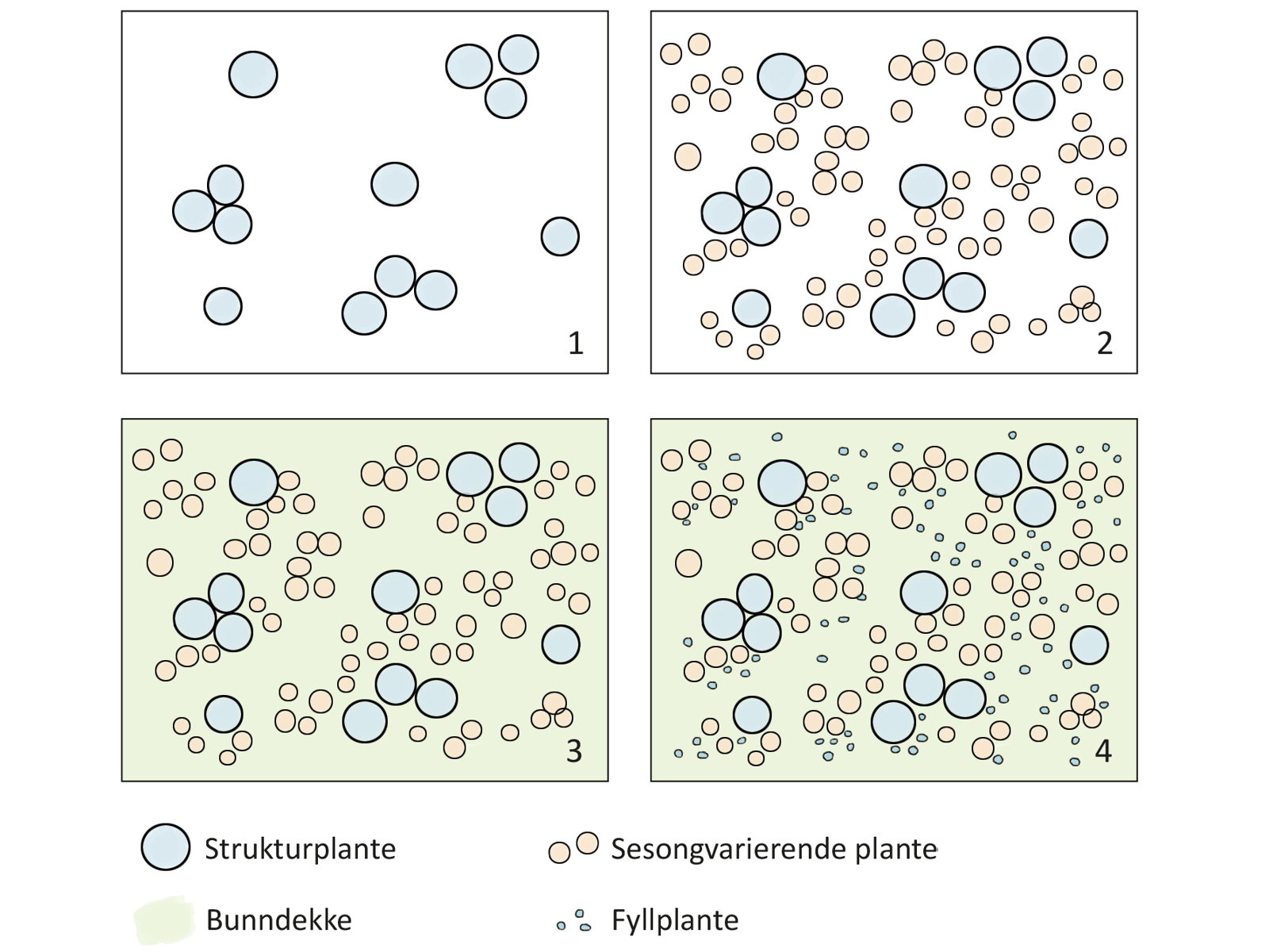 Diagram tegning som viser plassering av ulike lag av planter. Arkitekt tegning.