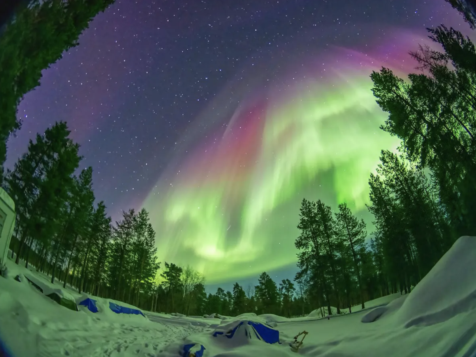 Nordlys i Øvre Pasvik Nasjonal Park