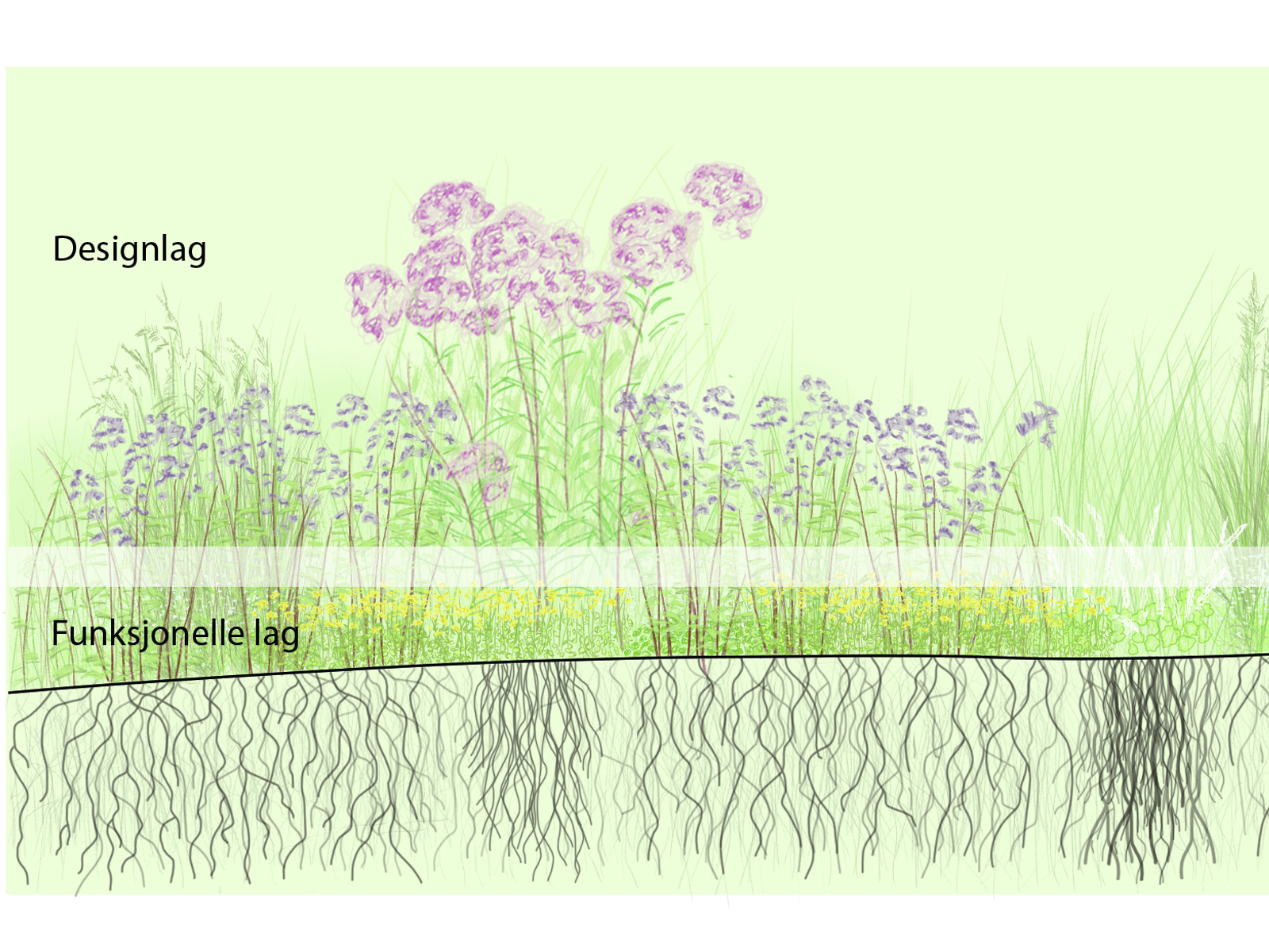 Diagram snitt som viser ulike lag i et bed. Arkitekt tegning.