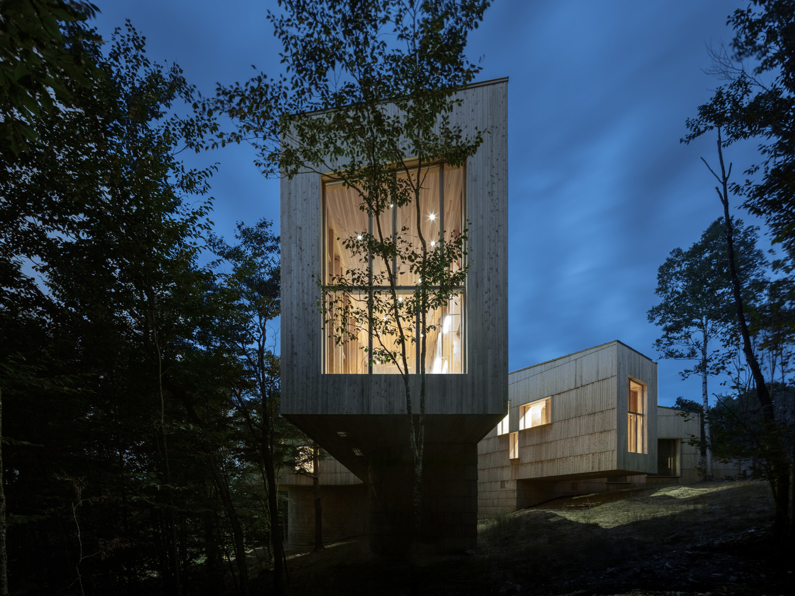 Foto av et utkragede bygg i treverk midt i skogen, flere ulike volum med vinduer som lyser innenifra i kveldslyset. 