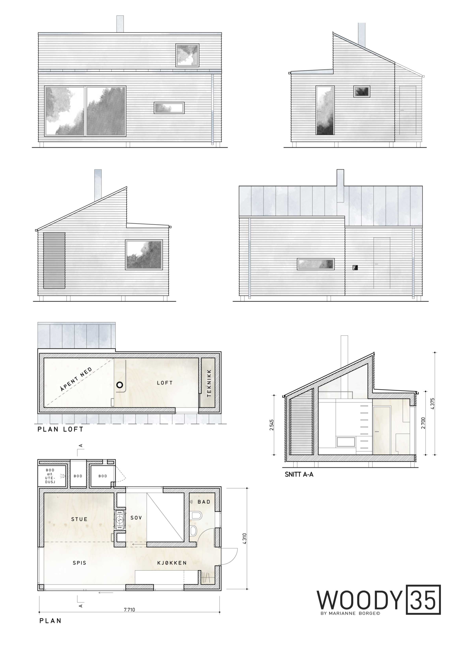 Fire fasader, to planer og et snitt av en hytte. Arkitekt tegning.