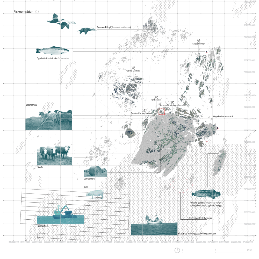 Collage diagram som kartlegger historiske og fremtidige næringer i Vegaøyan.