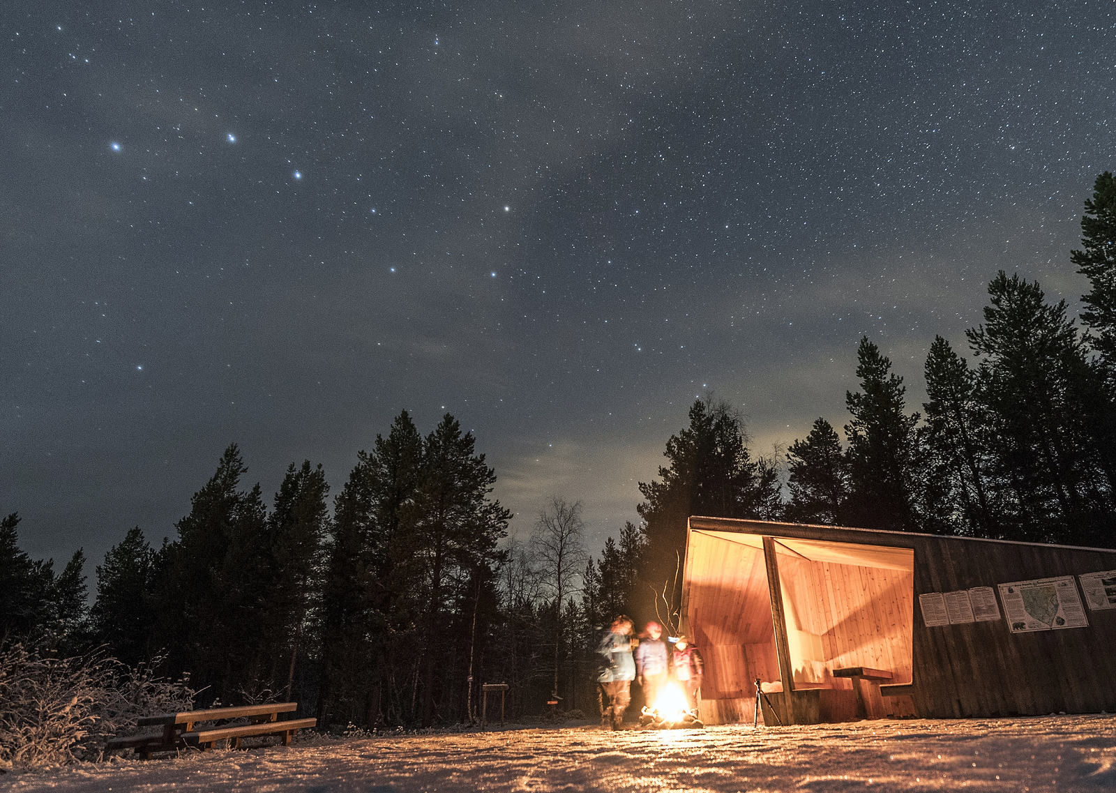 Til Treriksrøysa Øvre Pasvik Nasjonalpark