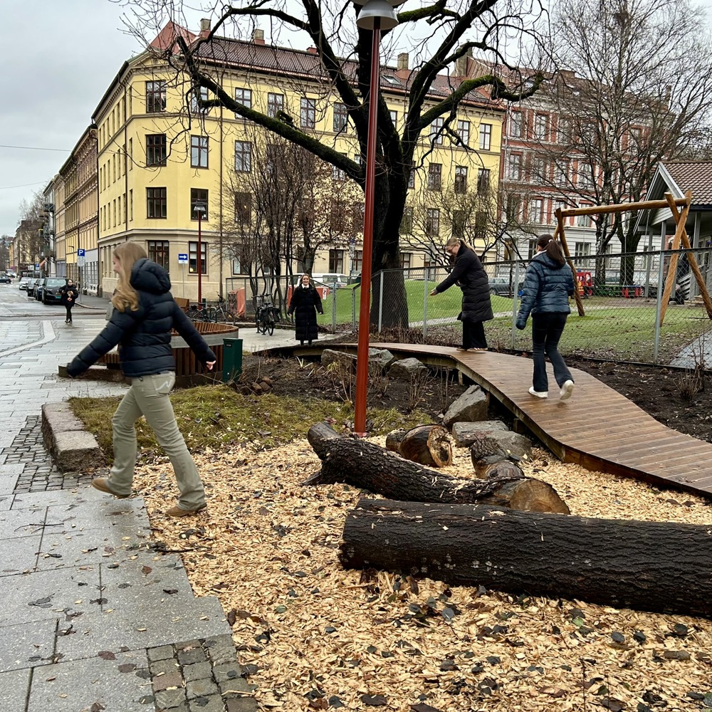 Parkgate_Seilduksgata