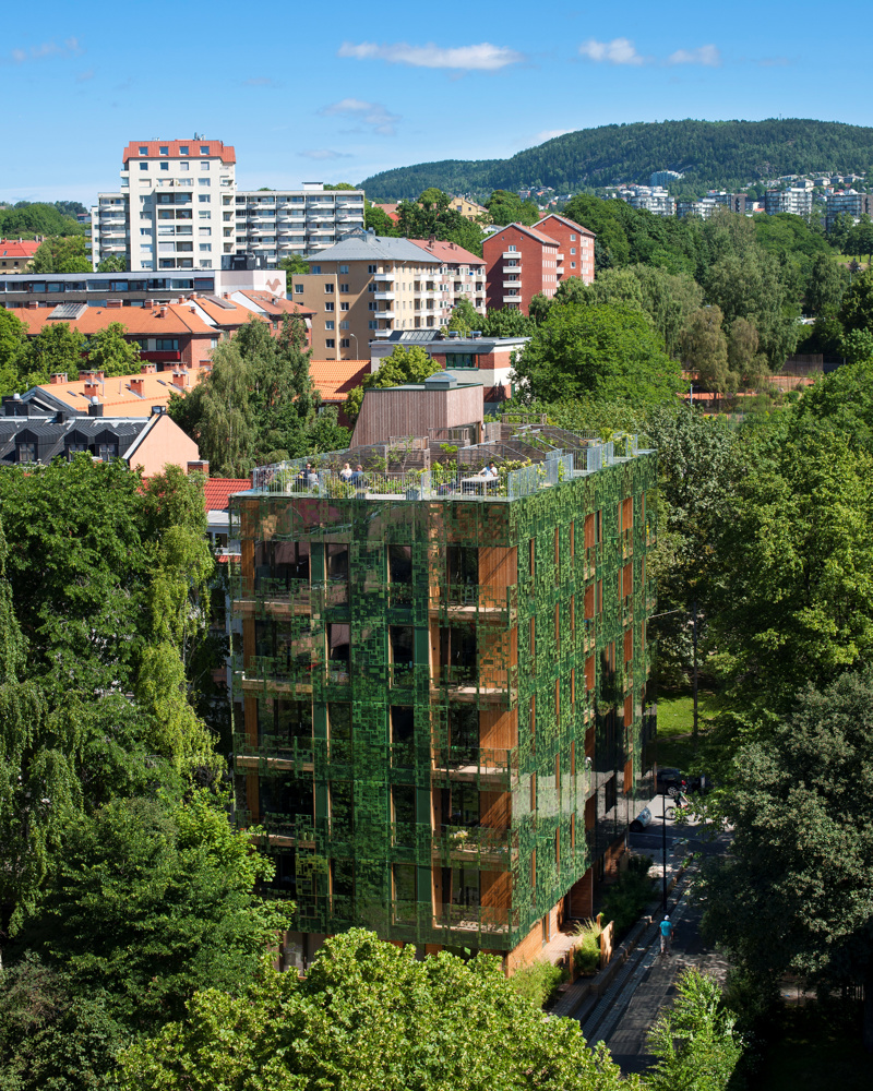 D36 Green House, tegnet av Element arkitekter, avbildet utenfra. Foto.