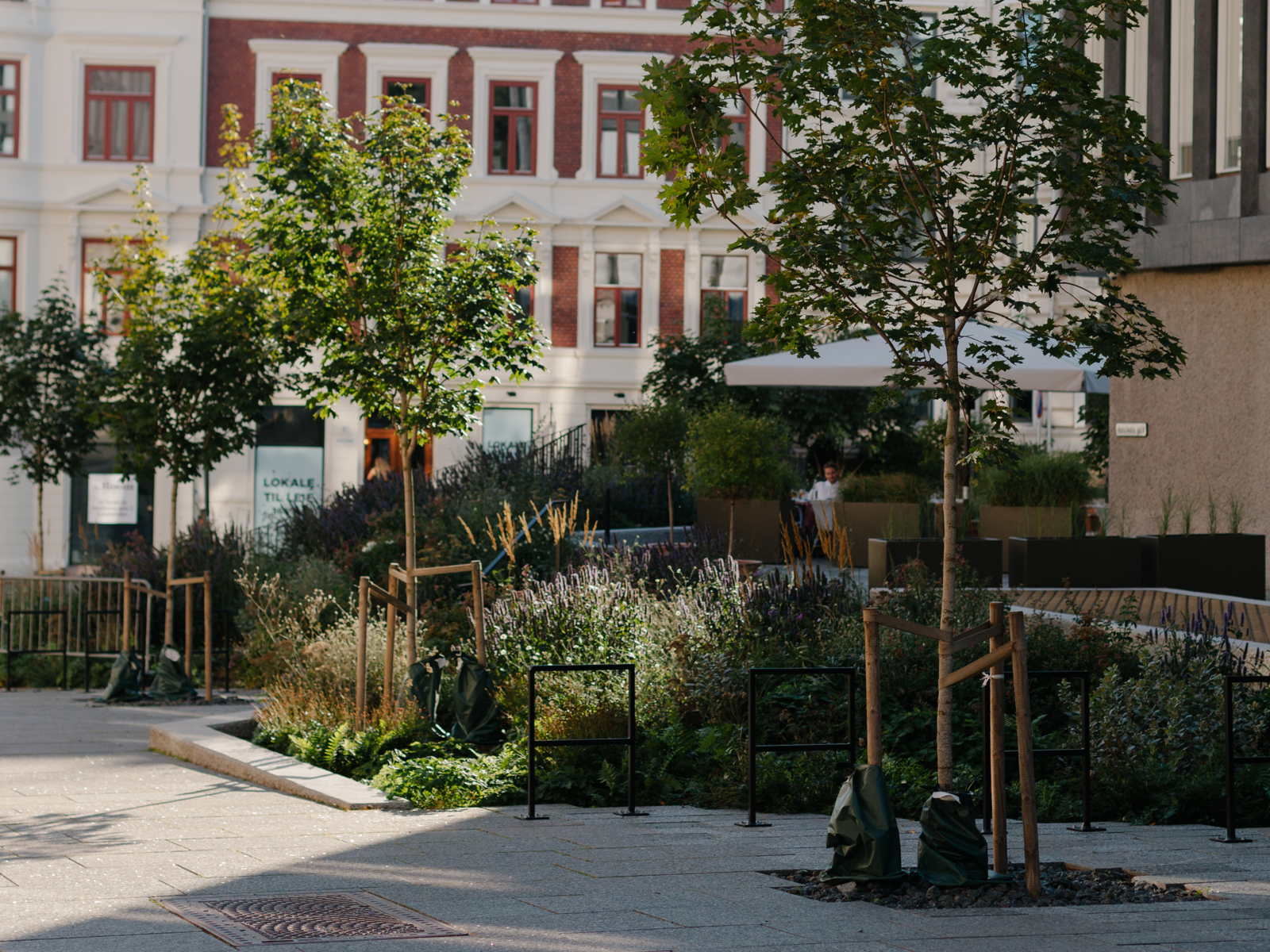 Foto av plantefelt langs fortau i by.