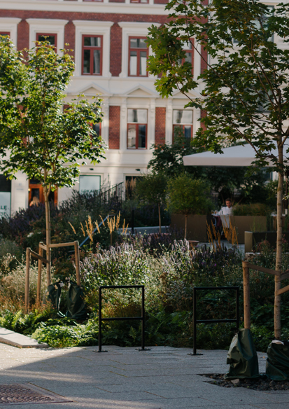 Foto av plantefelt langs fortau i by.