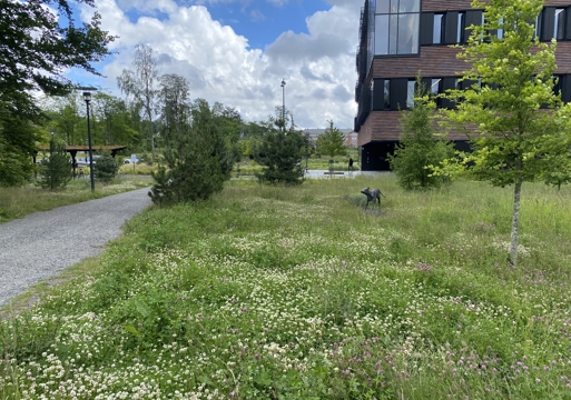 Foto av parkområde med gangvei og statue av en ku midt i det grønne.