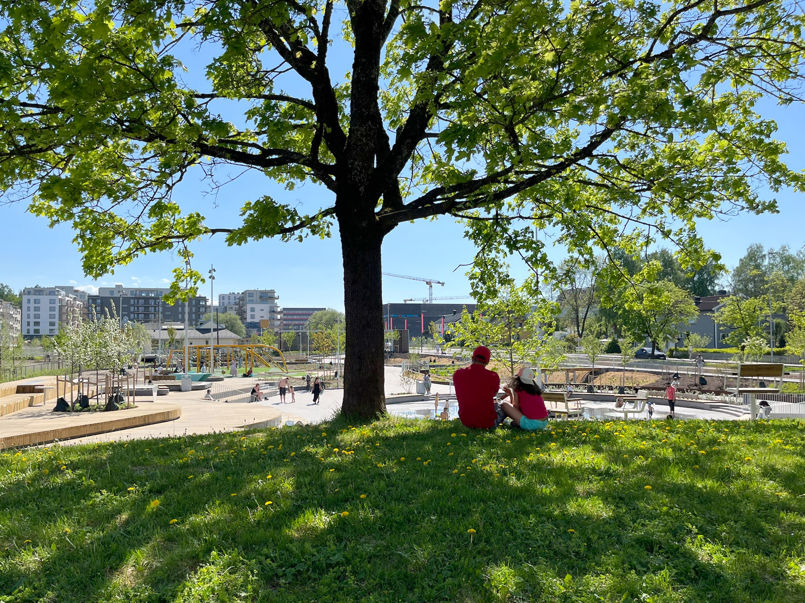 Foto av to mennesker som sitter under et stort tre på toppen av en haug i en park.