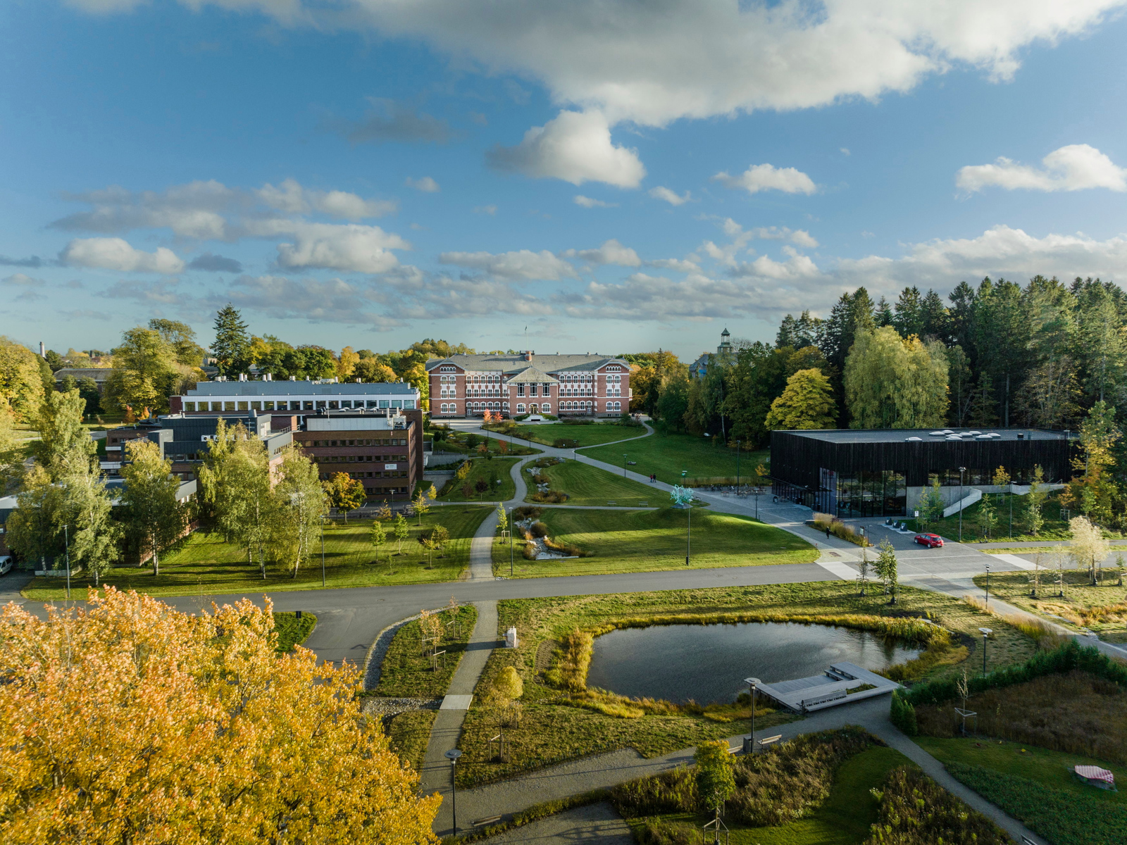 Oversiktsfoto av park rundt universitetsbygg.