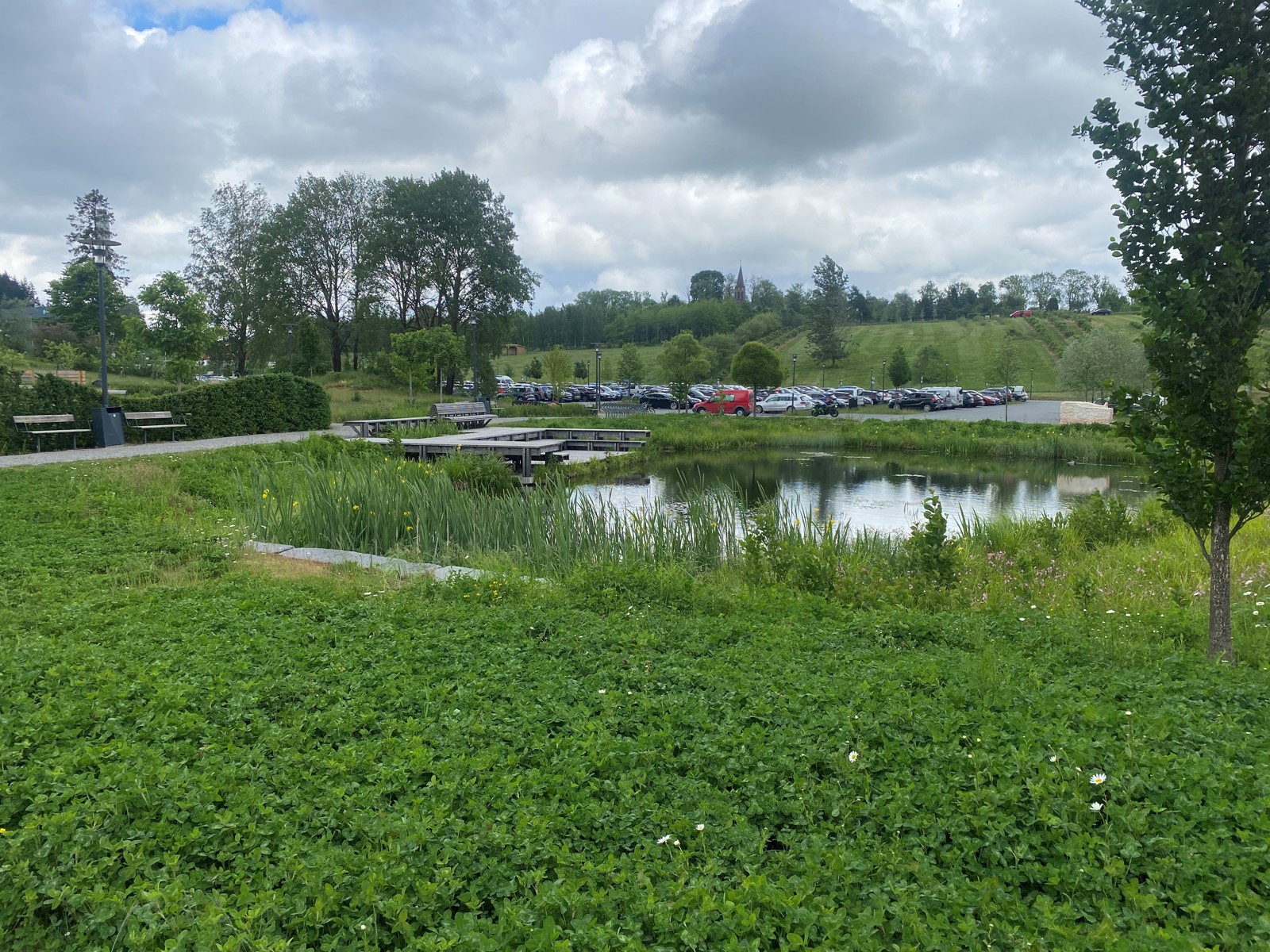 Foto av en vanndam i grønt parkområde, parkeringsplass i bakgrunnen.