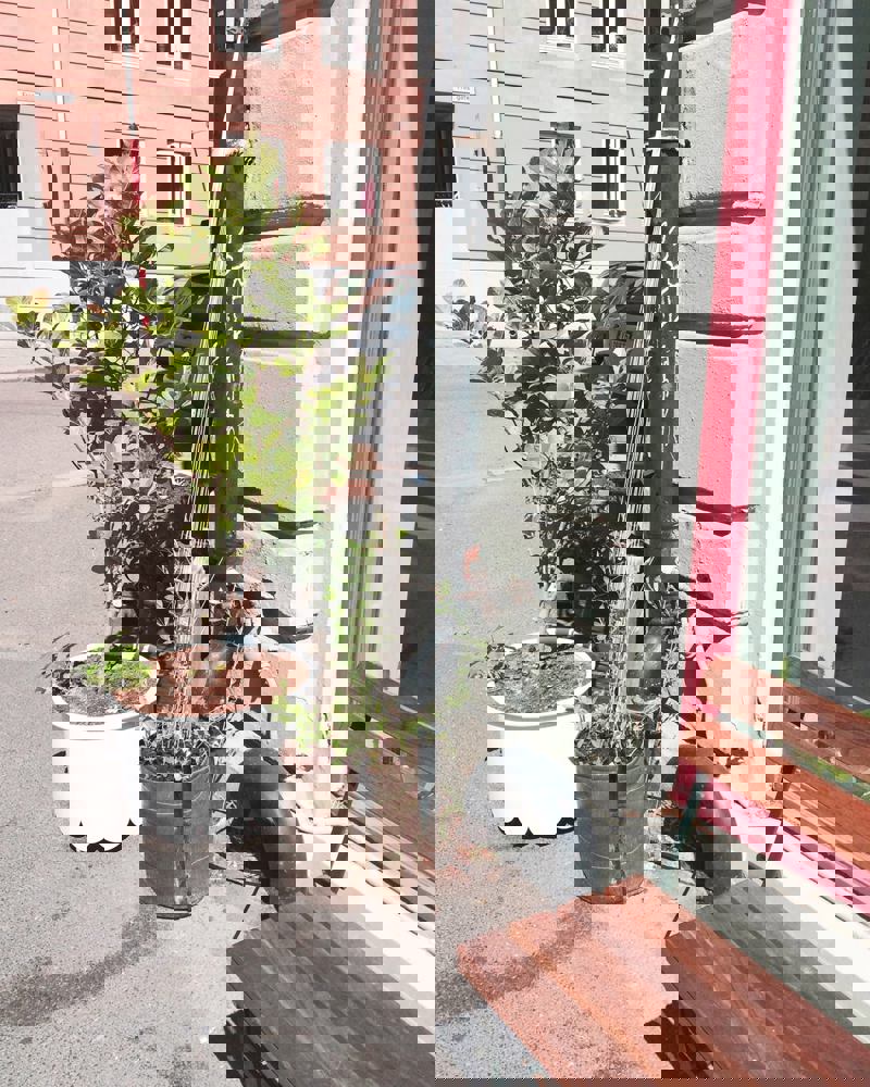 Lala_Tøyen_Benk