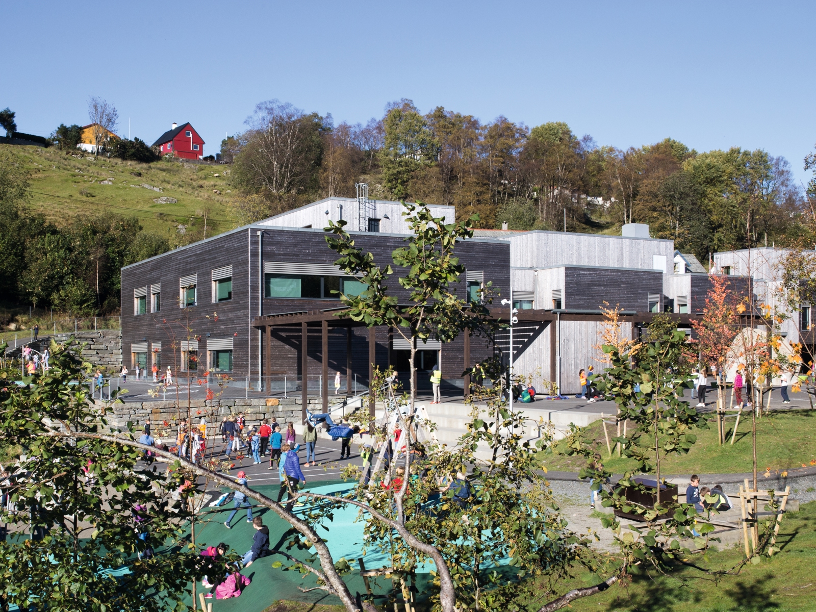 Overblikksbilde av Ulsmåg skole. Geiner med blader i forgrunnen. Foto.