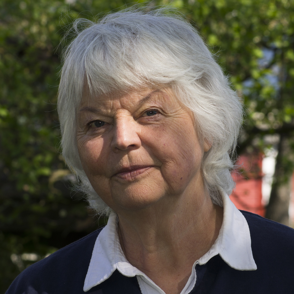 Anne P Sæterdal