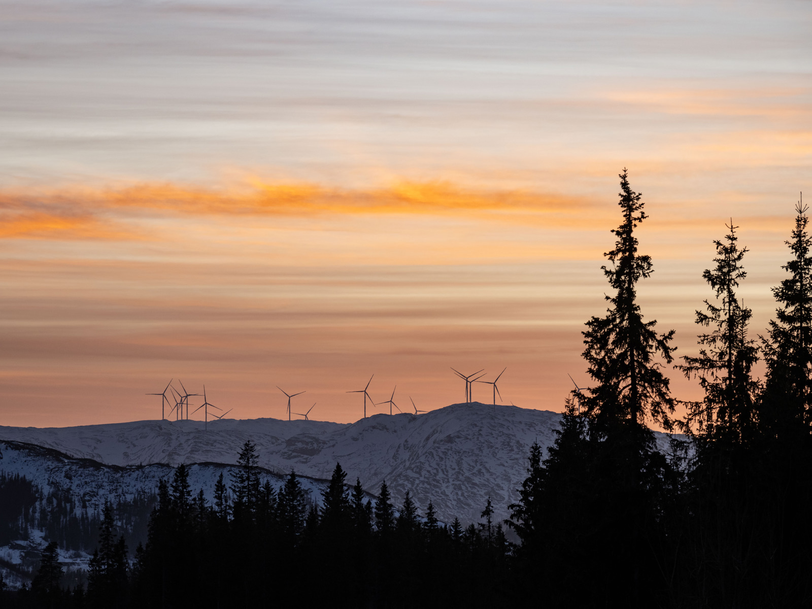 Fotografi som viser hvordan vindmøllene strekker seg over naturen i Øyfjellet vindkraftverk