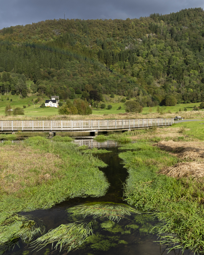 Tre bro over bekk i grønt landskap, åskam i bakgrunnen. Foto.