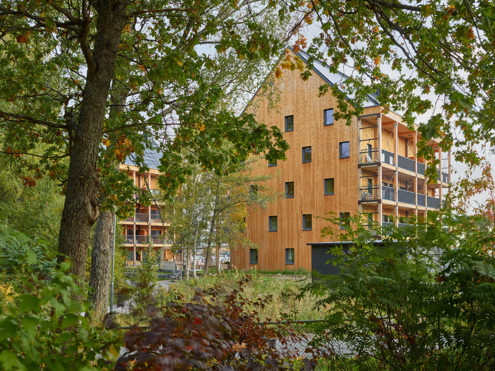 Foto av leilighetsbygg i treverk i grønn kontekst, trær i forgrunnen.