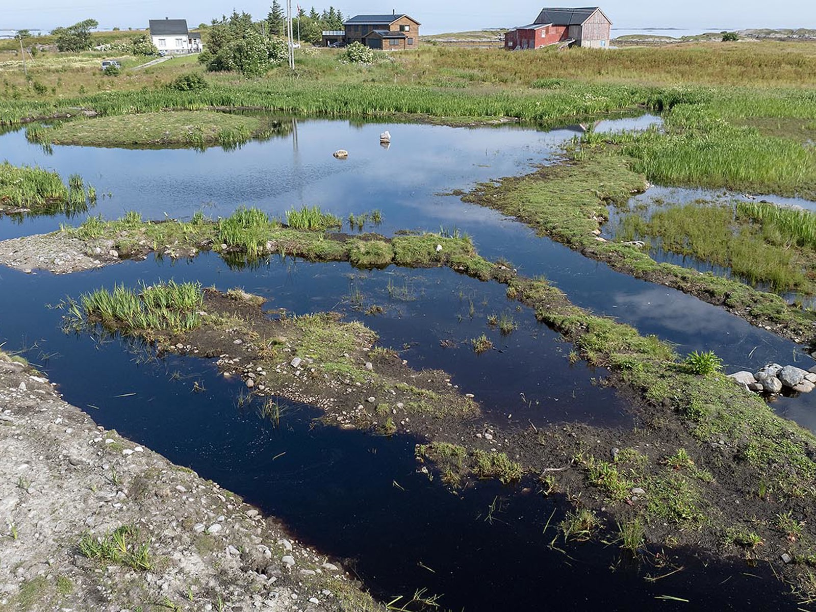 Selviktjønna