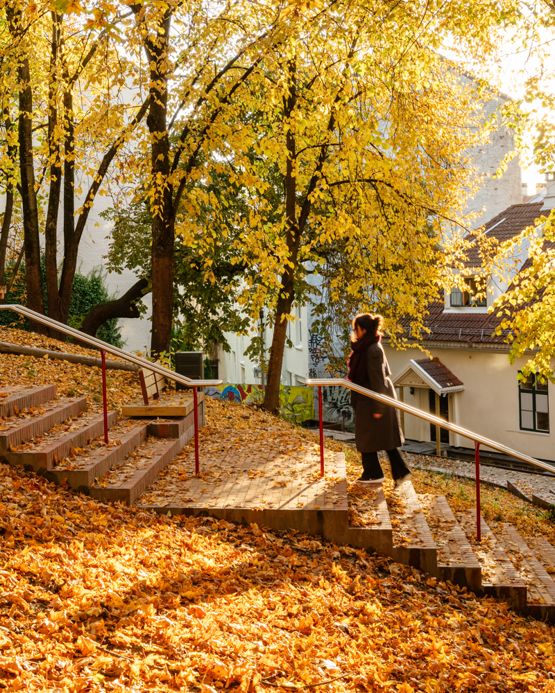 Foto av en dame som går opp en trapp i en park på høsten.