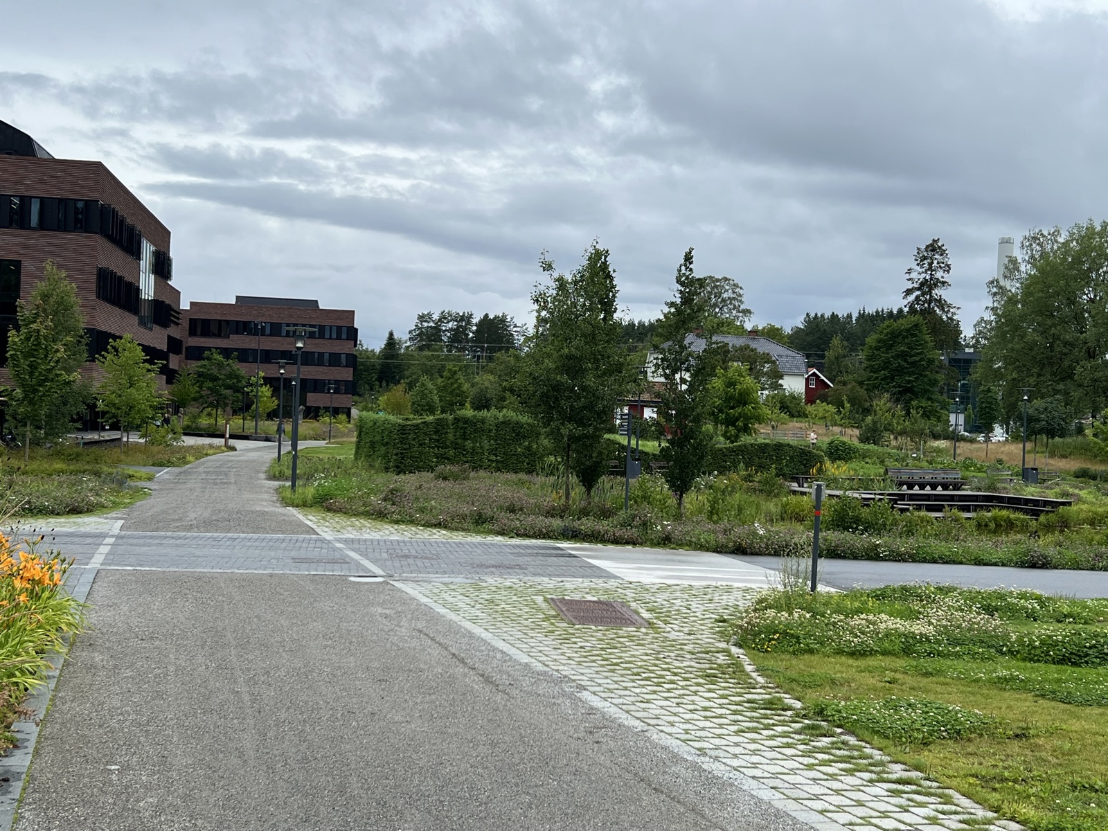 Foto av gangvei i parkområde rundt NMBU universitet.