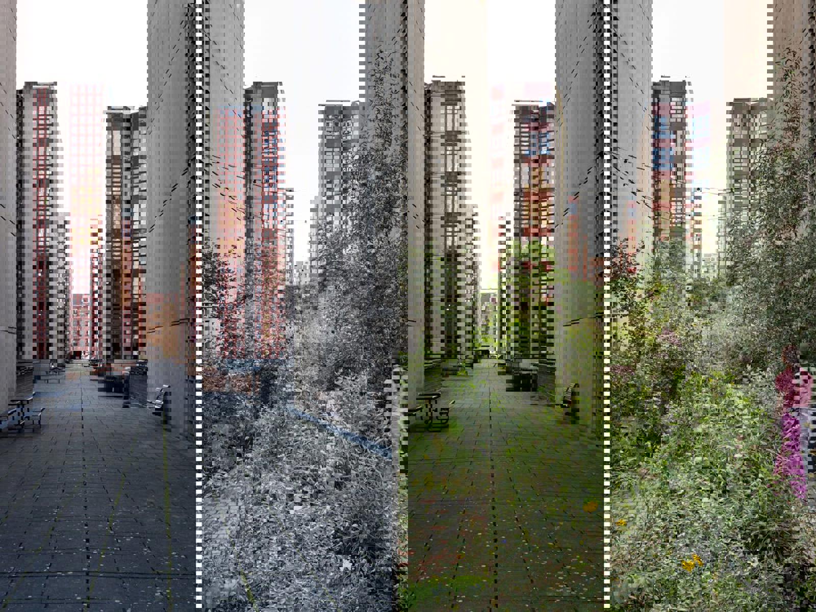 To foto som viser endringen av studentboligkompleks til en grønnere bakgård.