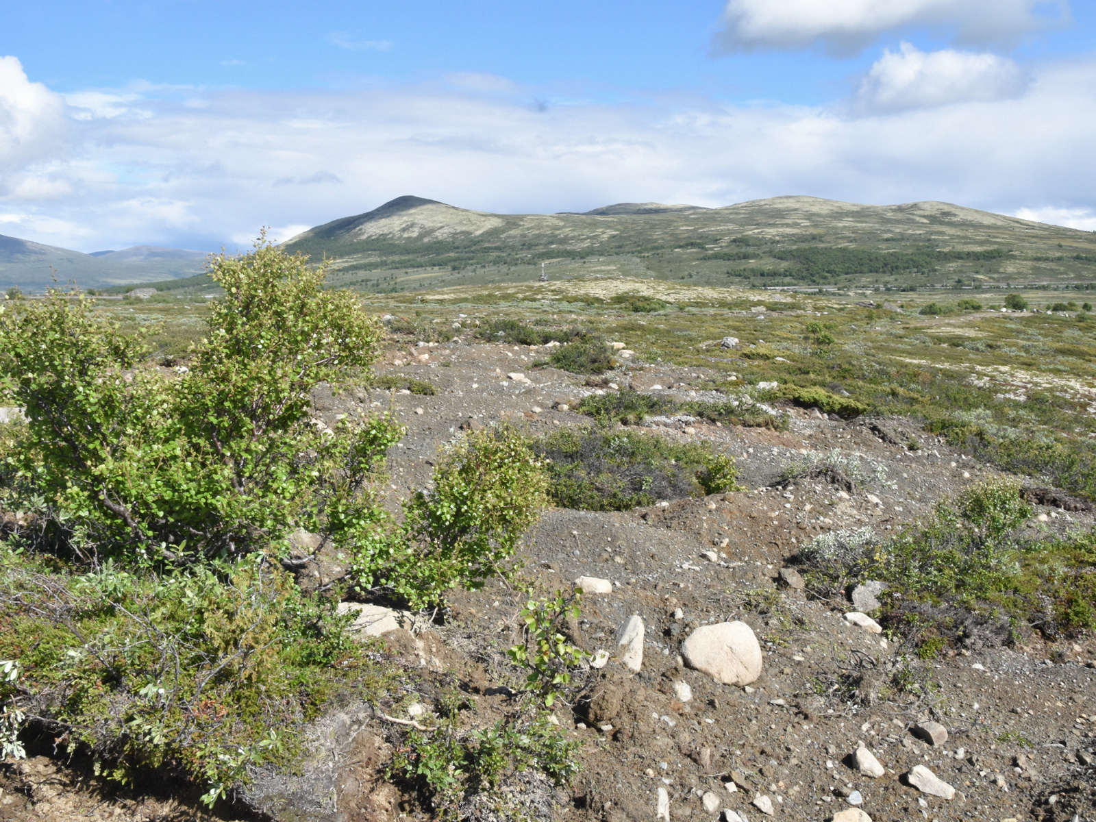 Veikant på fjellet