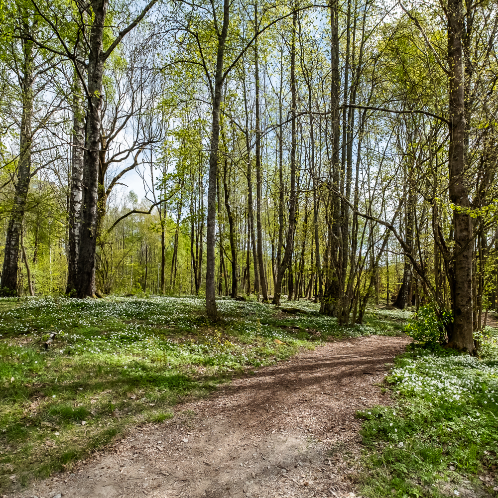 Haugerudparken