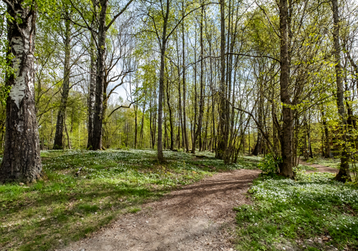 Haugerudparken