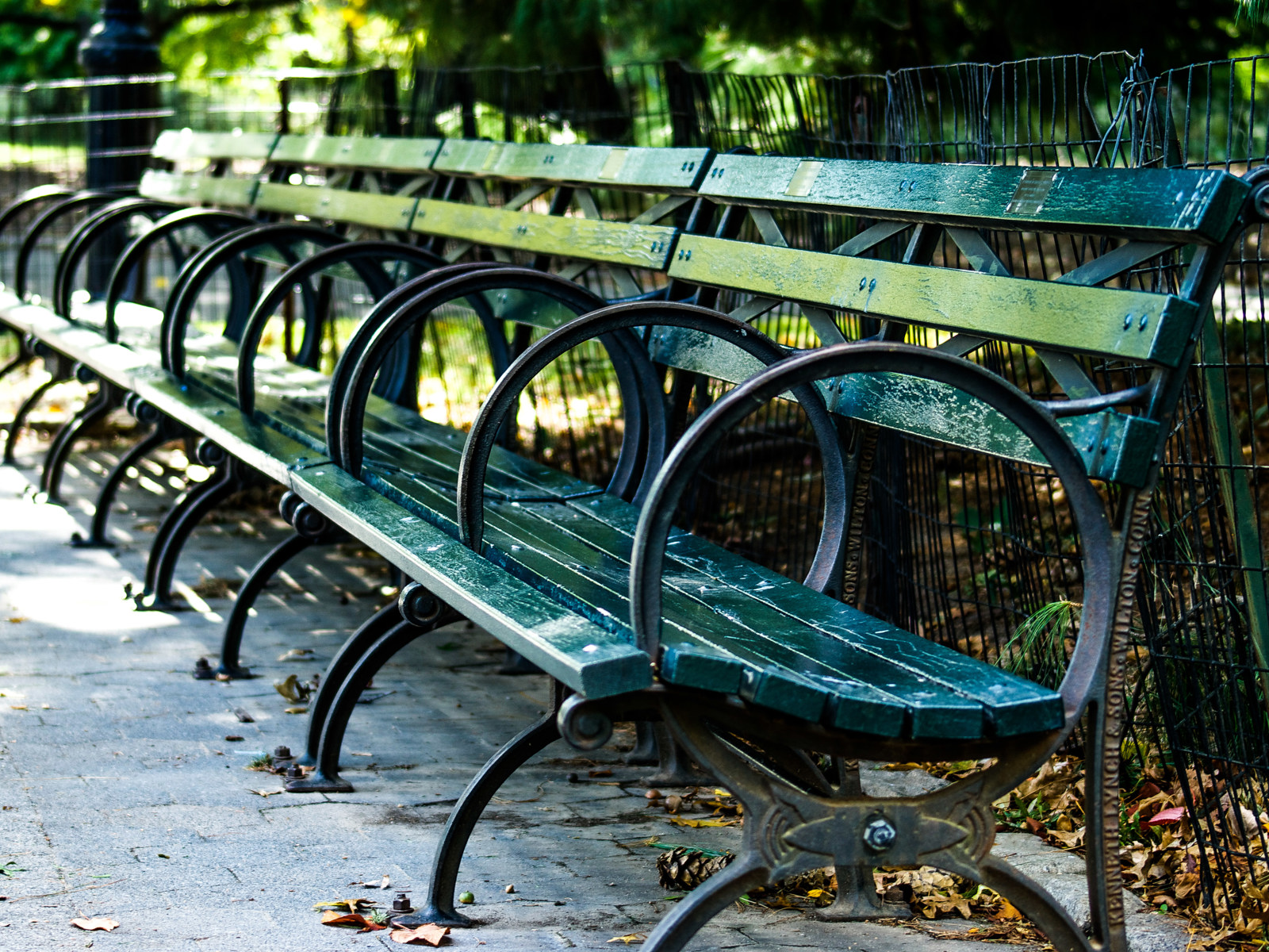 Foto av grønne benker på rekke.