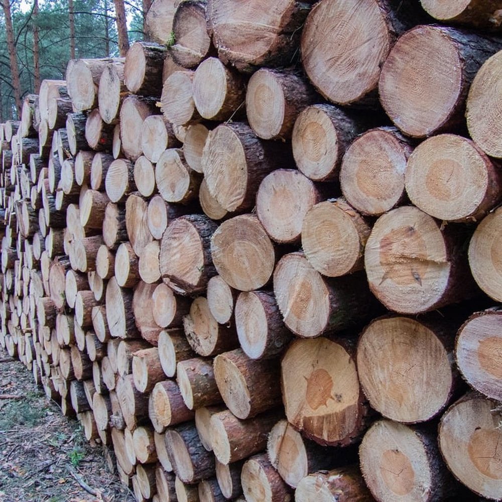 Tømmerstokker i en haug.