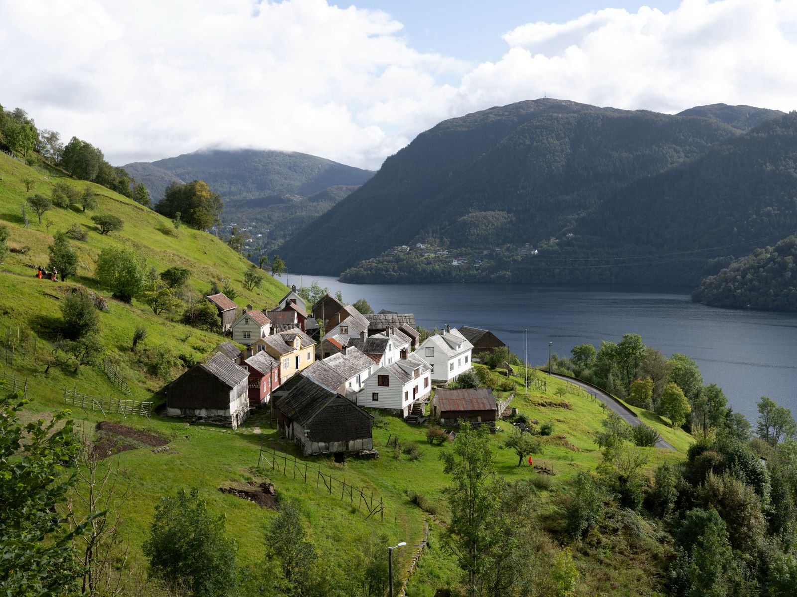 Foto av et klyngetun i en åsside, fjord og fjell rundt.