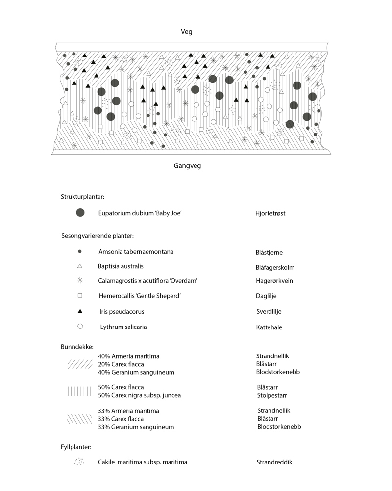 Diagram som viser regnbedbeplantning langs veg. Arkitekt tegning.