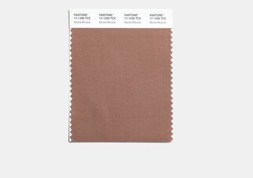 Pantone Colour Of The Year Mocha Mousse