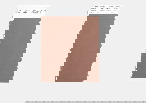 Pantone Colour Of The Year Mocha Mousse