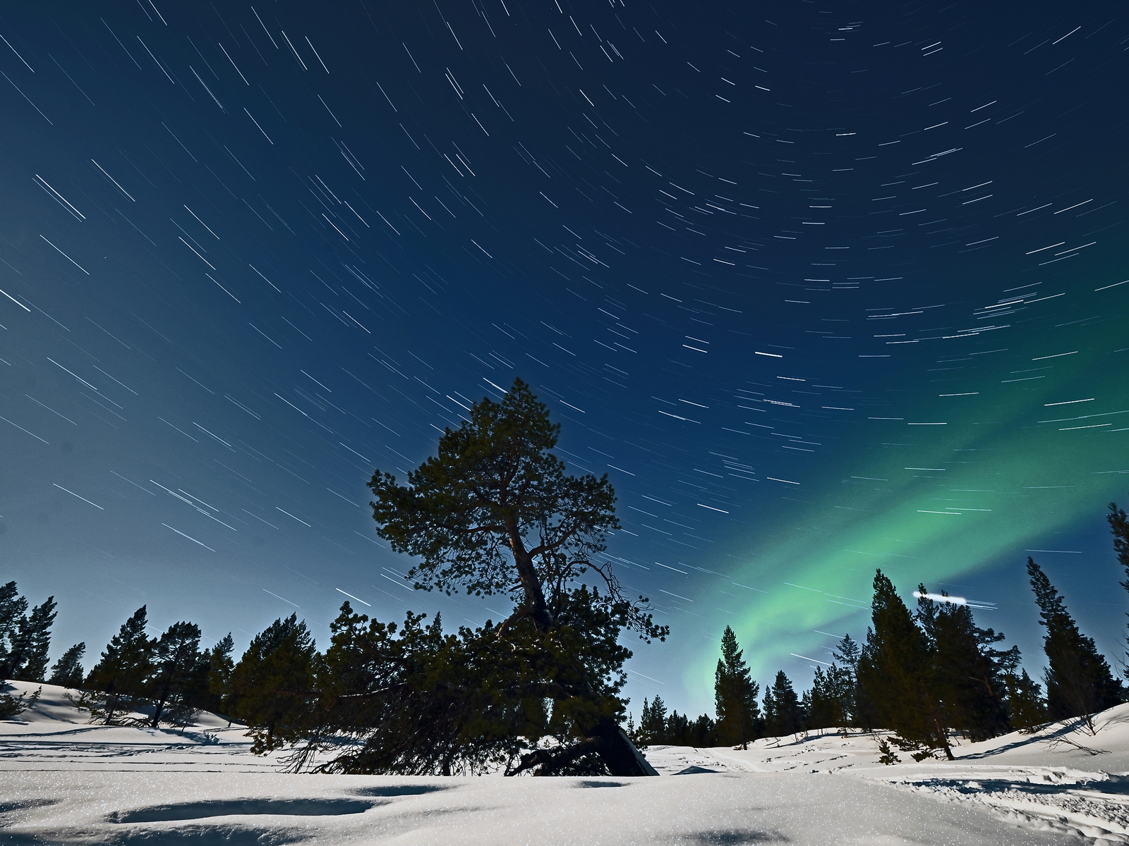 Stjernespor Fullmåne Og Nordlys, Øvre Pasvik Nasjonal Park