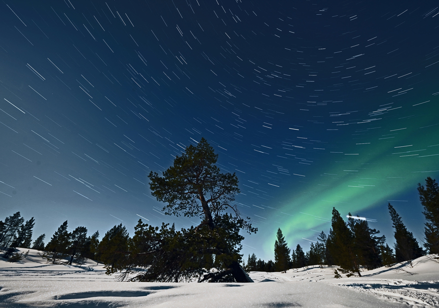 Stjernespor Fullmåne Og Nordlys, Øvre Pasvik Nasjonal Park