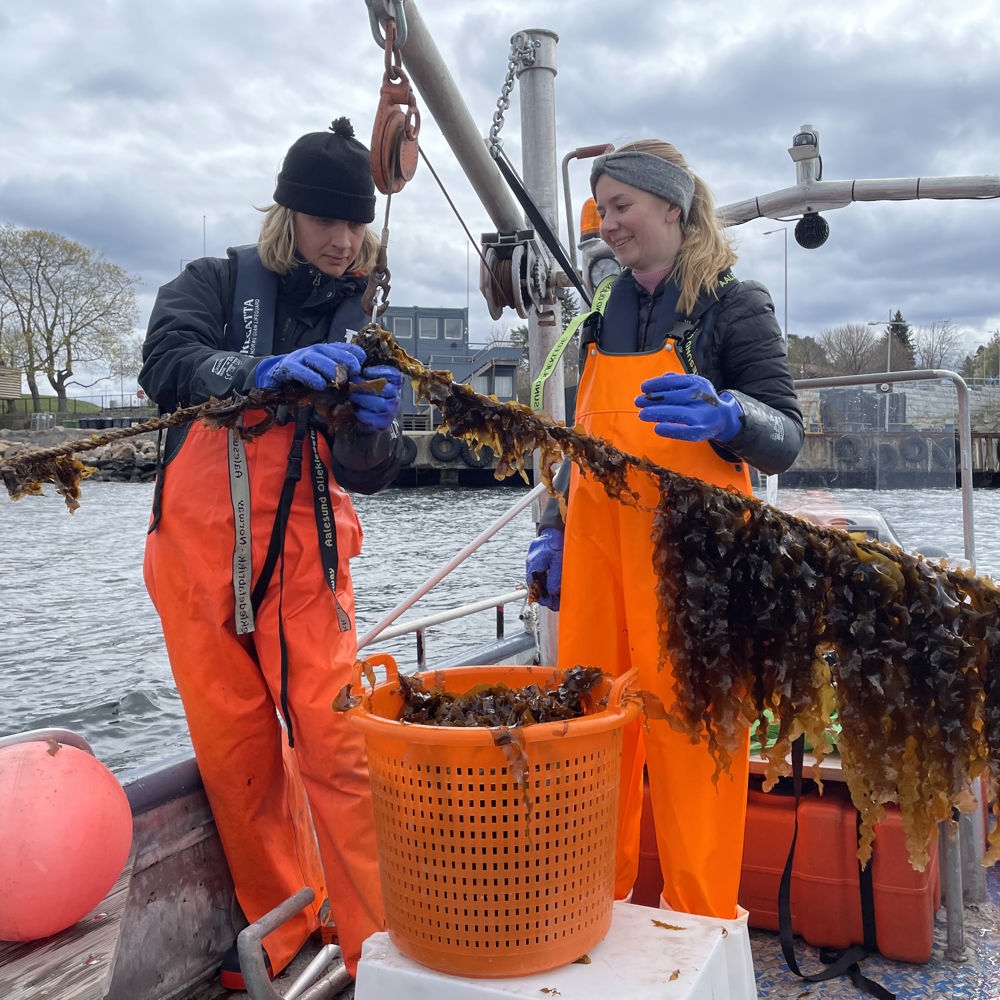 Marinreparatørene